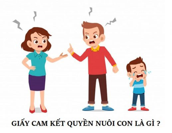 Giấy Cam Kết Quyền Nuôi Con Cần Thông Tin Gì?