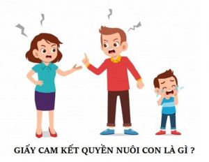 Giấy Cam Kết Quyền Nuôi Con Cần Thông Tin Gì?