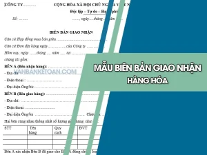Mẫu Biên Bản Bàn Giao Kho