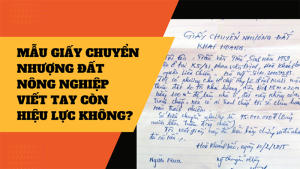 Mẫu Giấy Mua Bán Ruộng Đất Viết Tay