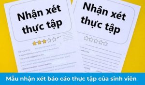 Mẫu Giấy Nhận Xét Của Đơn Vị Thực Tập