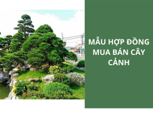 Mẫu Hợp Đồng Mua Bán Cây Giống
