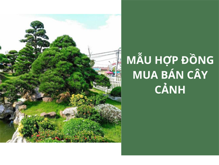 Mẫu Hợp Đồng Mua Bán Cây Giống